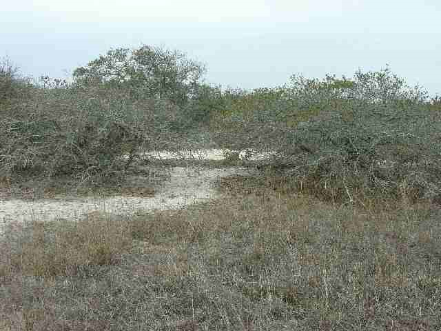 1664 Canal Road Corolla, NC 27927 - Photo 1 of 2 Gallery Image 1