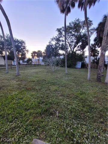 a view of a yard with palm trees
