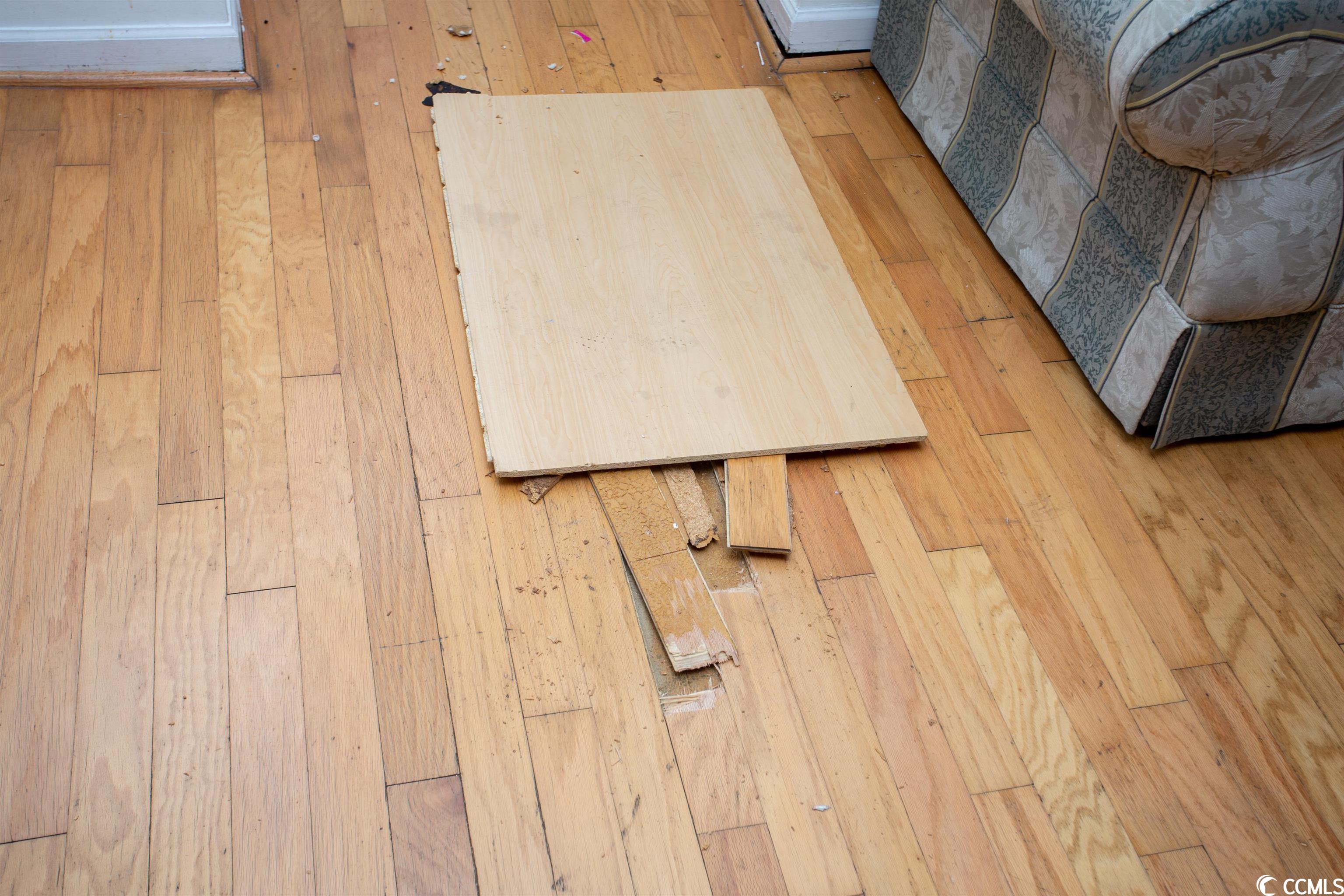 301 Luttie Road Myrtle Beach, SC 29588 - Photo 5 of 25