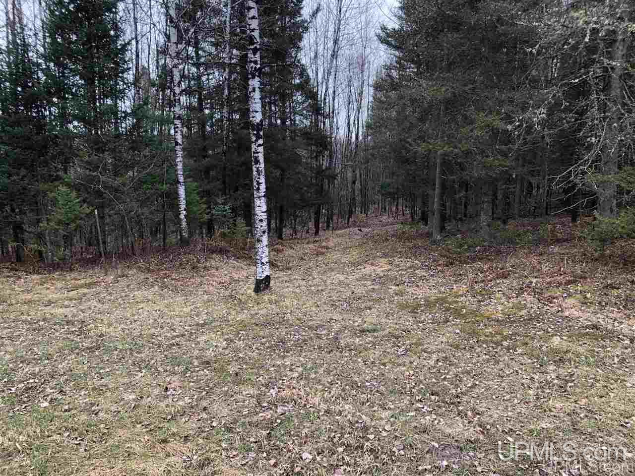 Tbd Turner Road Channing, MI 49815 - Photo 12 of 42