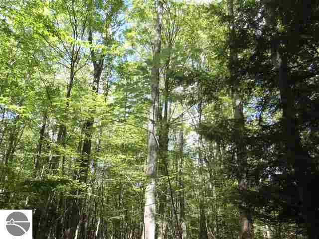15660 Springdale Road Thompsonville, MI 49683 - Photo 8 of 15 1715799-7.JPG