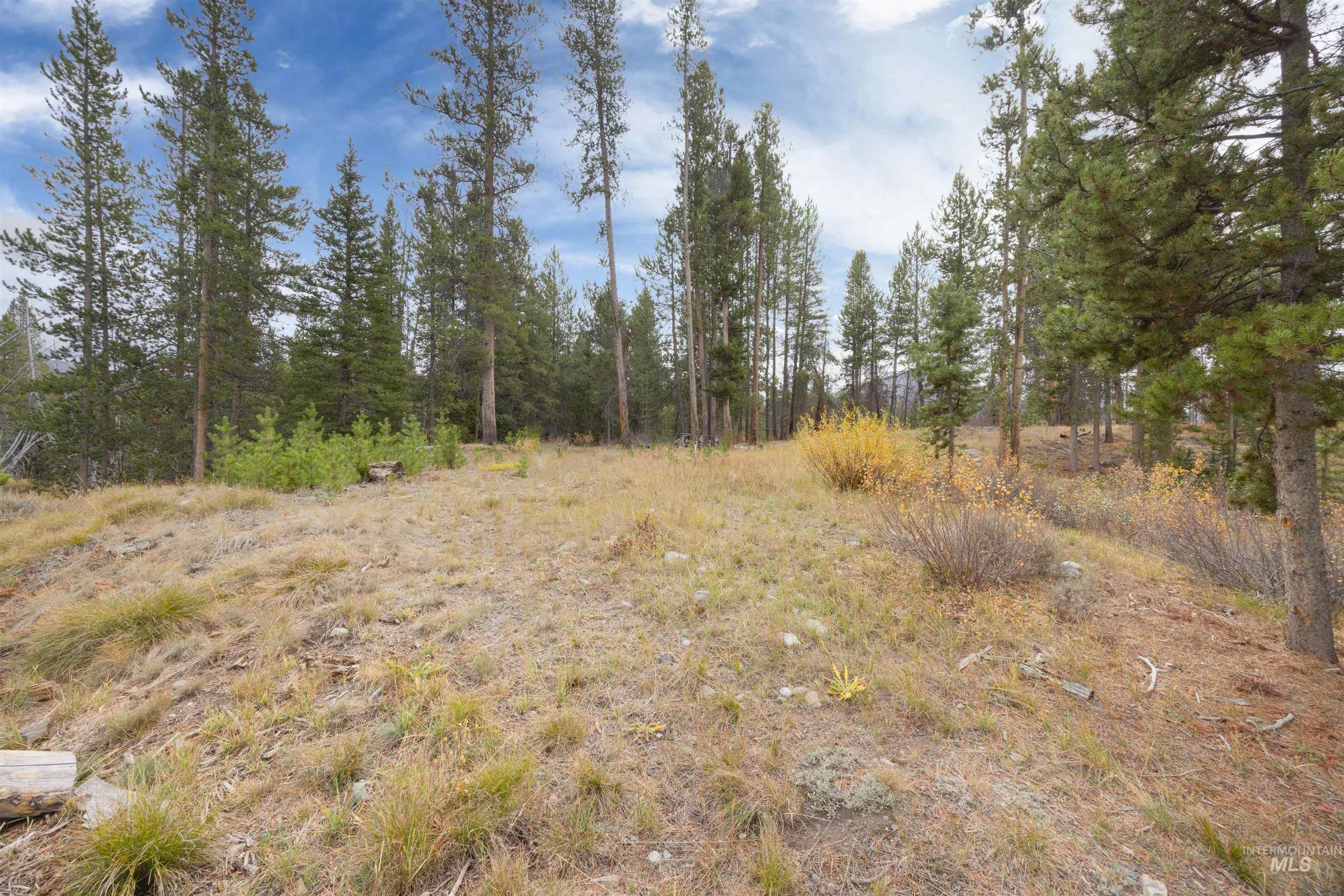 773 Smiley Creek Road Ketchum, ID 83340 - Photo 7 of 27 View of nature