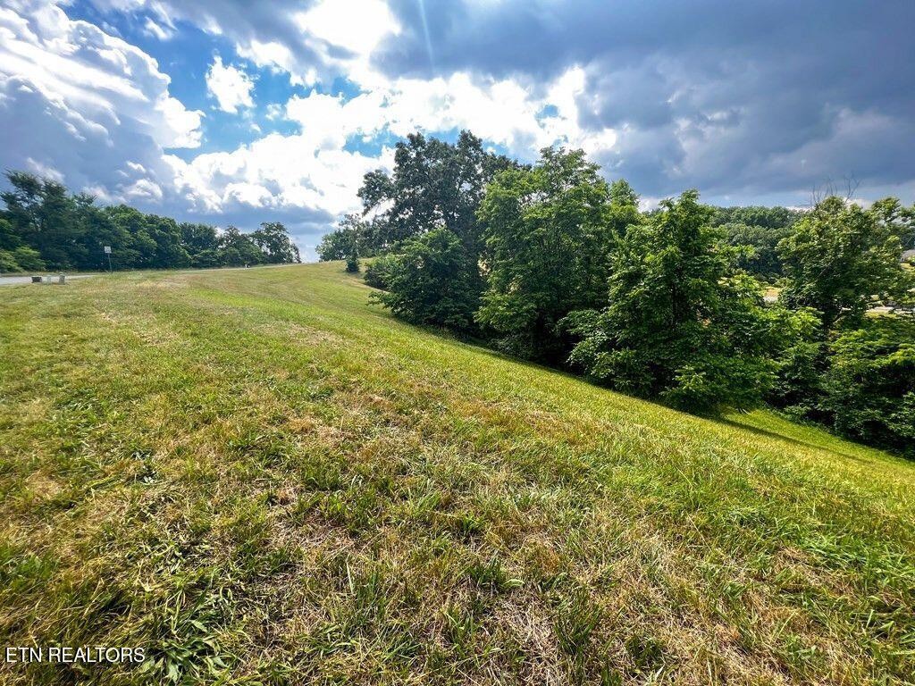 2063 Turner Landing Road Russellville, TN 37860 - Photo 2 of 16