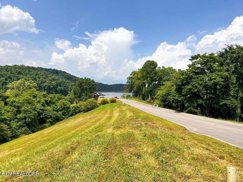 2063 Turner Landing Road Russellville, TN 37860 - Photo 4 of 16