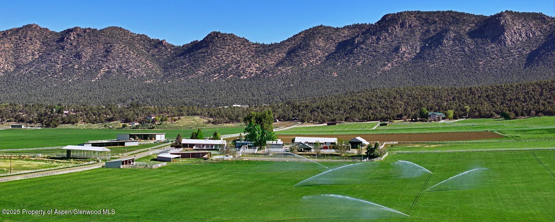 10676 Bostwick Park Road Montrose, CO 81401 - Photo 1 of 42 a view of a garden with lawn chairs