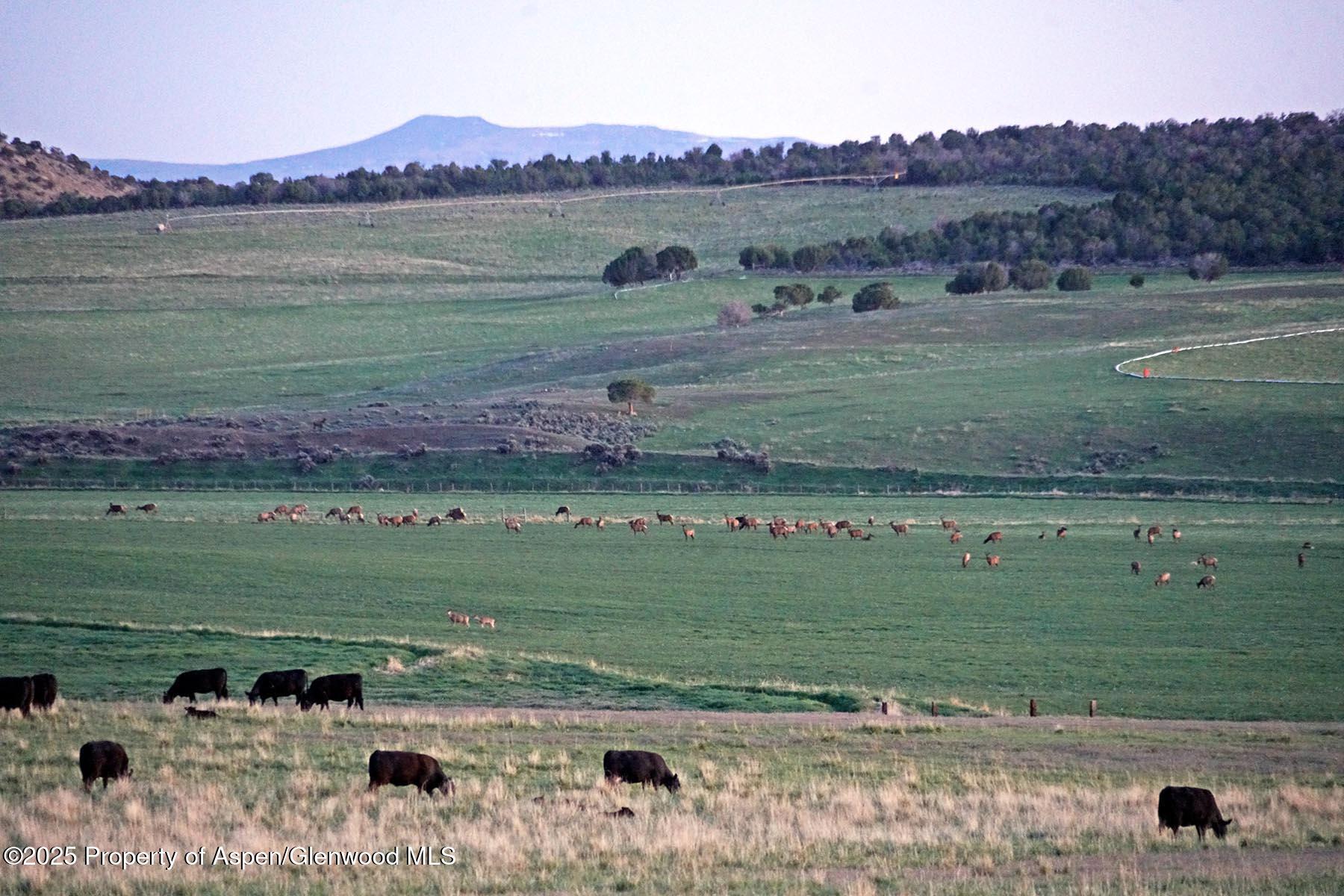 10676 Bostwick Park Road Montrose, CO 81401 - Photo 17 of 42 a view of a lake with a house in the background