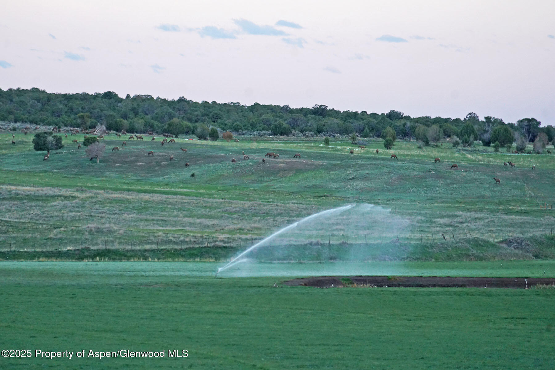 10676 Bostwick Park Road Montrose, CO 81401 - Photo 20 of 42