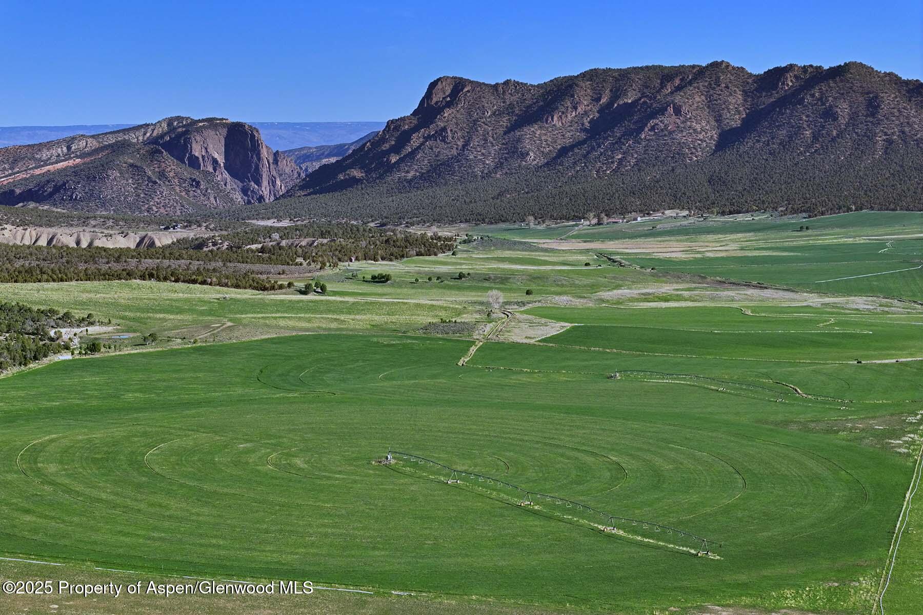 10676 Bostwick Park Road Montrose, CO 81401 - Photo 21 of 42 a view of a lush green field