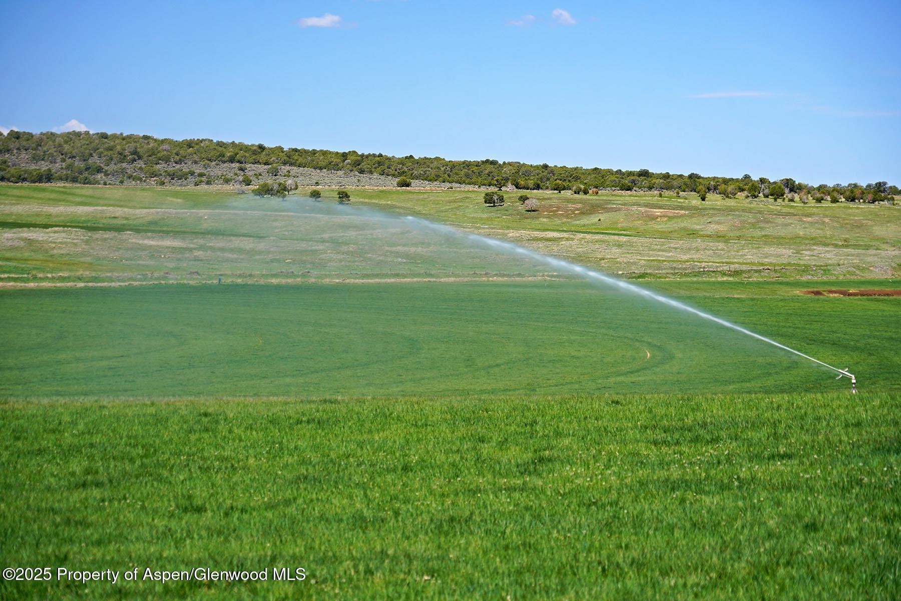 10676 Bostwick Park Road Montrose, CO 81401 - Photo 23 of 42 a view of an ocean and beach