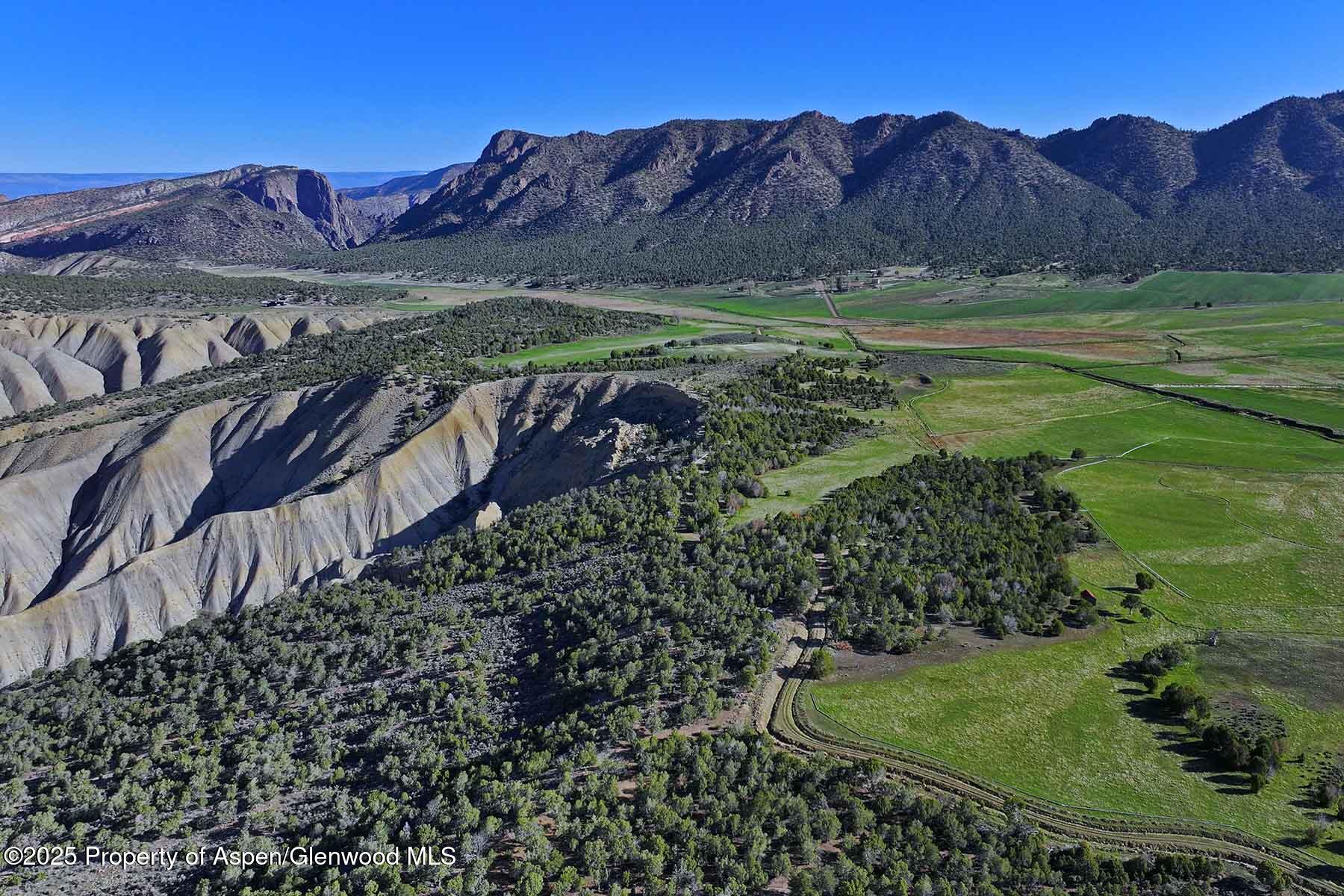 10676 Bostwick Park Road Montrose, CO 81401 - Photo 27 of 42