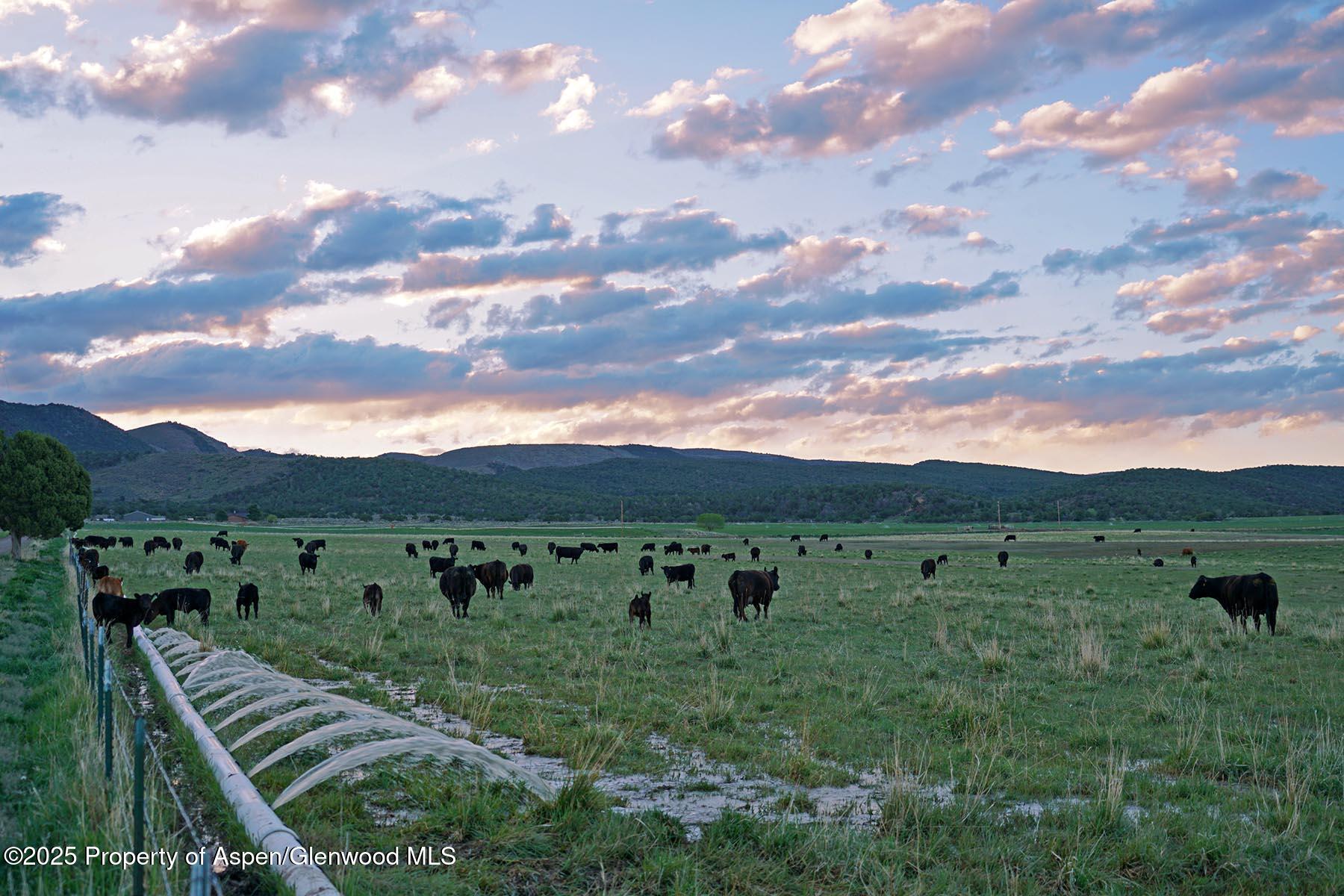 10676 Bostwick Park Road Montrose, CO 81401 - Photo 29 of 42 a view of a city with lush green forest