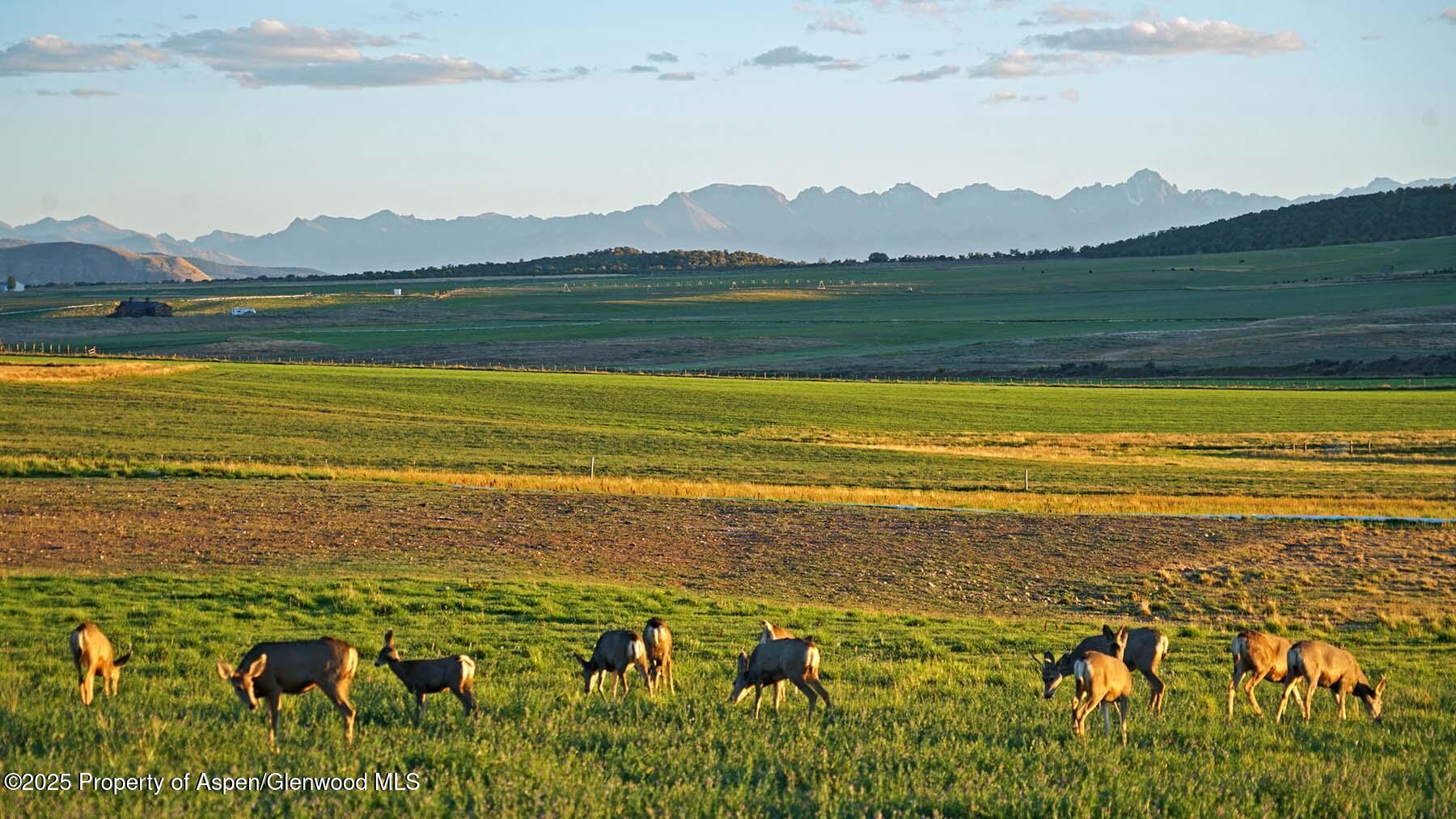 10676 Bostwick Park Road Montrose, CO 81401 - Photo 30 of 42 a view of an ocean and a mountain