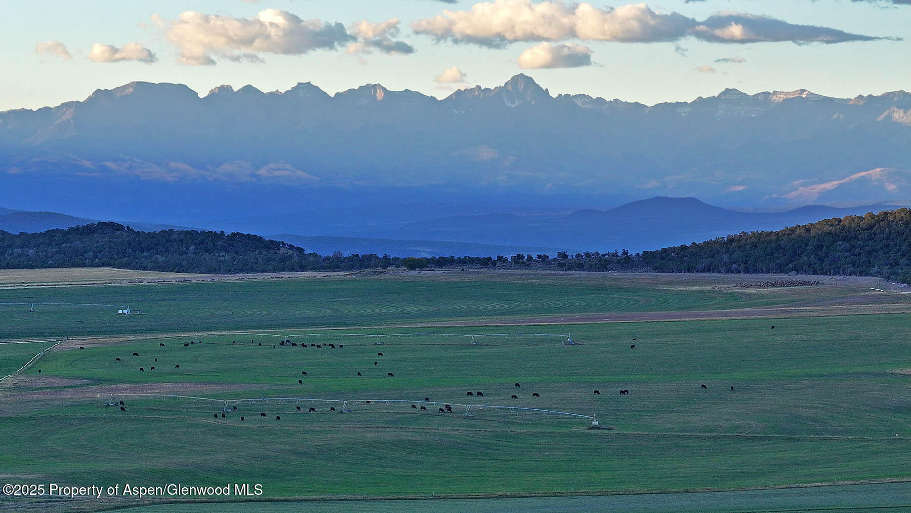 10676 Bostwick Park Road Montrose, CO 81401 - Photo 31 of 42 a view of a town with mountain view