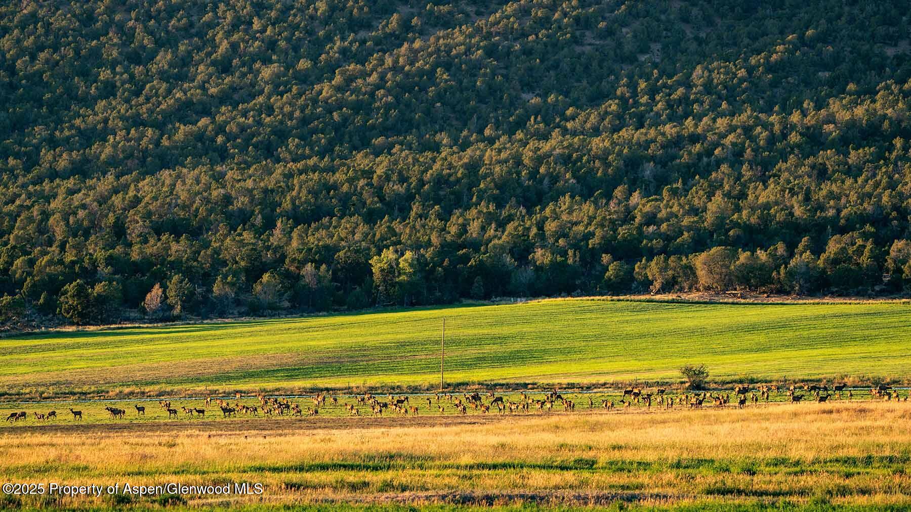 10676 Bostwick Park Road Montrose, CO 81401 - Photo 33 of 42 a view of a ocean view