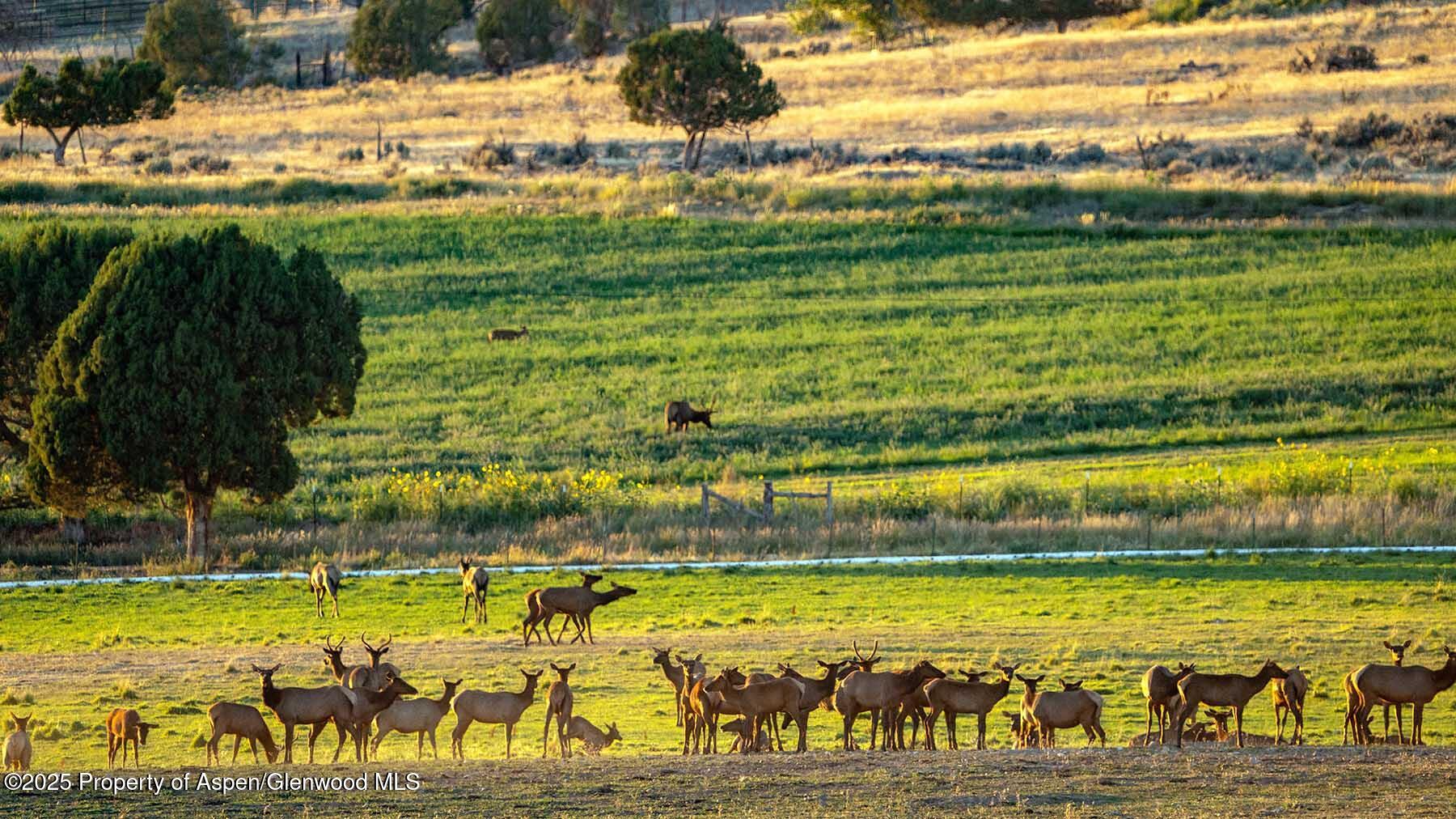 10676 Bostwick Park Road Montrose, CO 81401 - Photo 34 of 42 a view of an ocean view