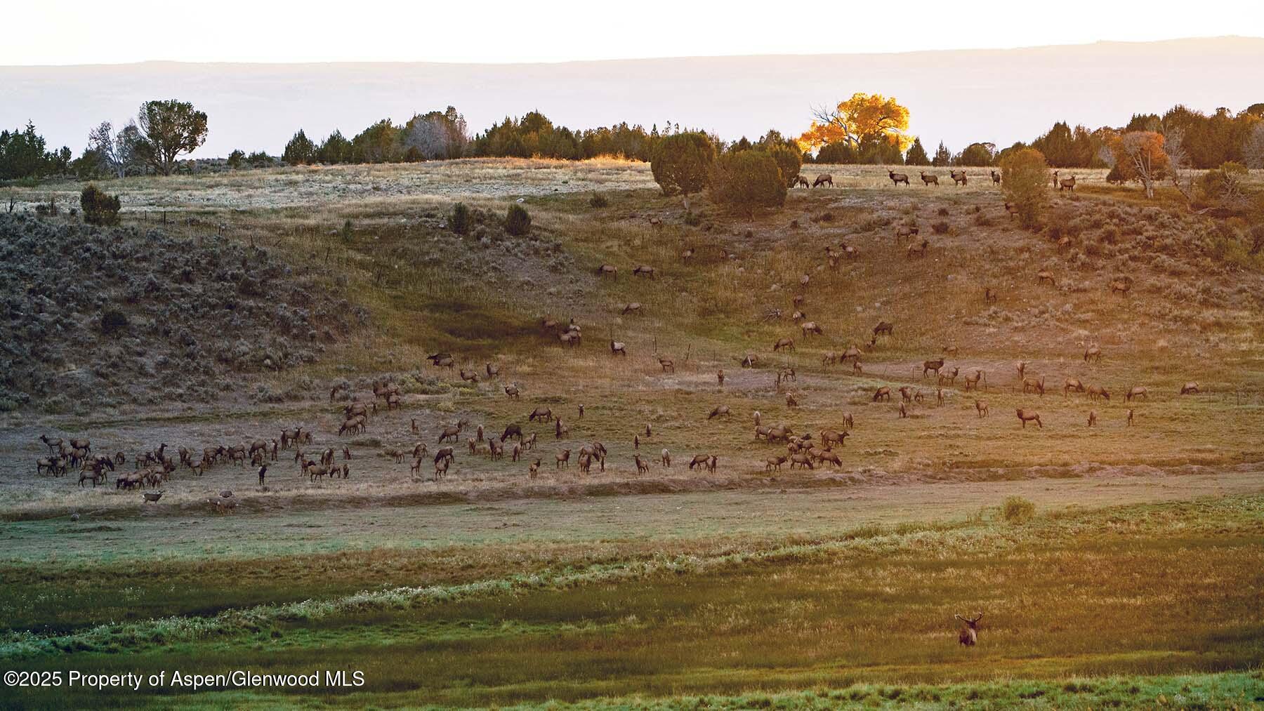 10676 Bostwick Park Road Montrose, CO 81401 - Photo 37 of 42 a view of mountain with beach