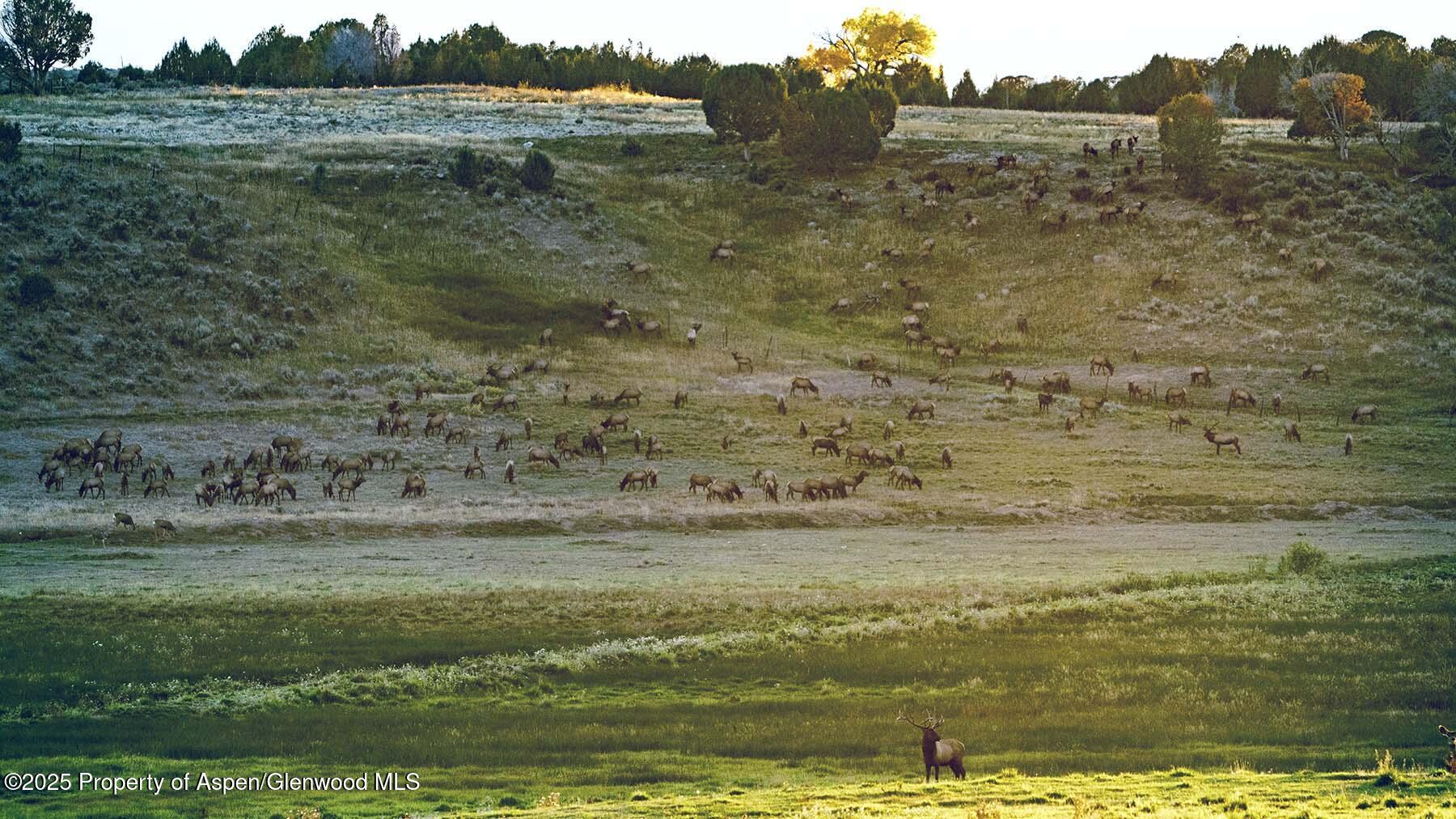 10676 Bostwick Park Road Montrose, CO 81401 - Photo 38 of 42 a view of a field with an ocean view