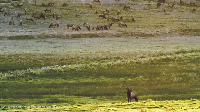 $13,900,000 | 10676 Bostwick Park Road, Montrose, CO 81401