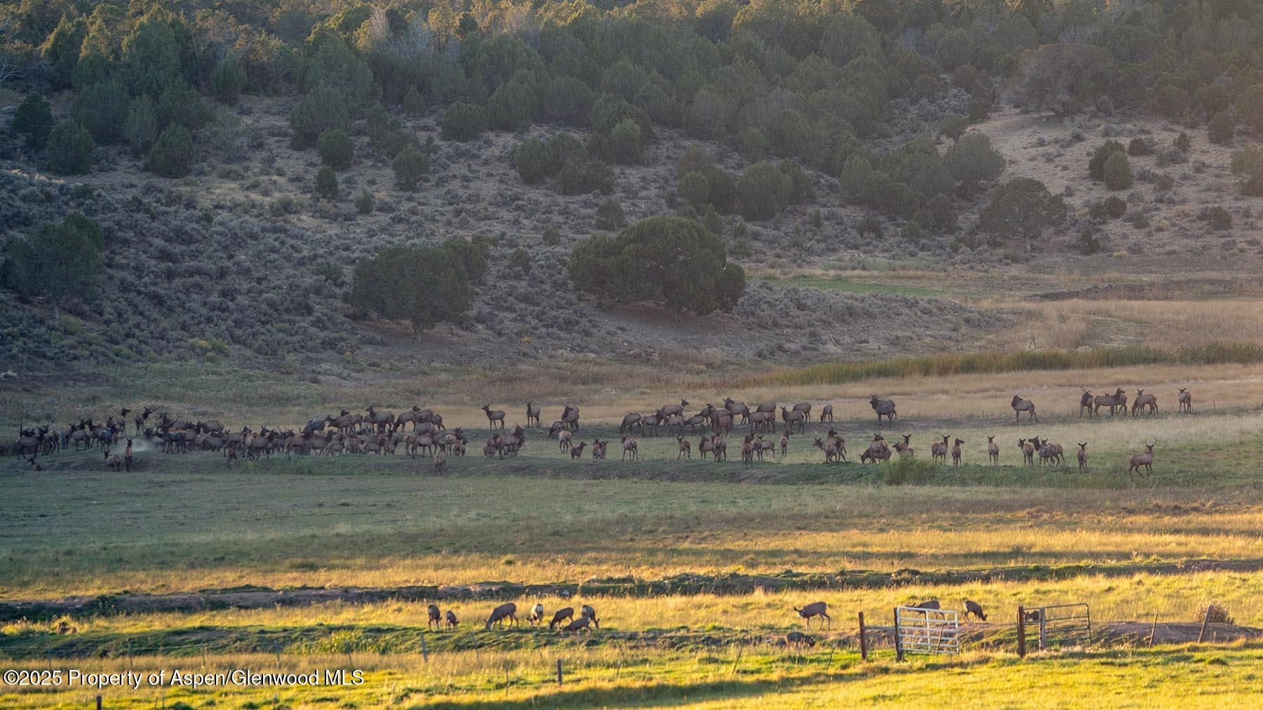 10676 Bostwick Park Road Montrose, CO 81401 - Photo 40 of 42 a view of a water with a building in the background
