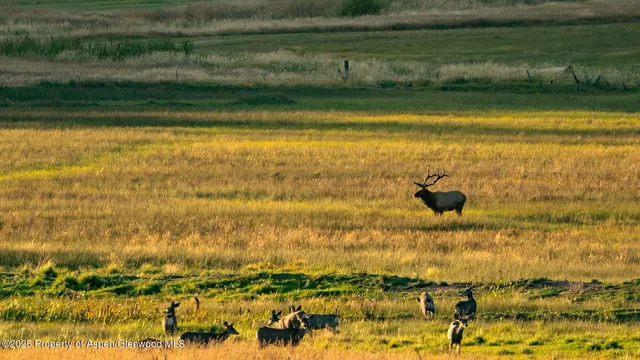 $13,900,000 | 10676 Bostwick Park Road, Montrose, CO 81401