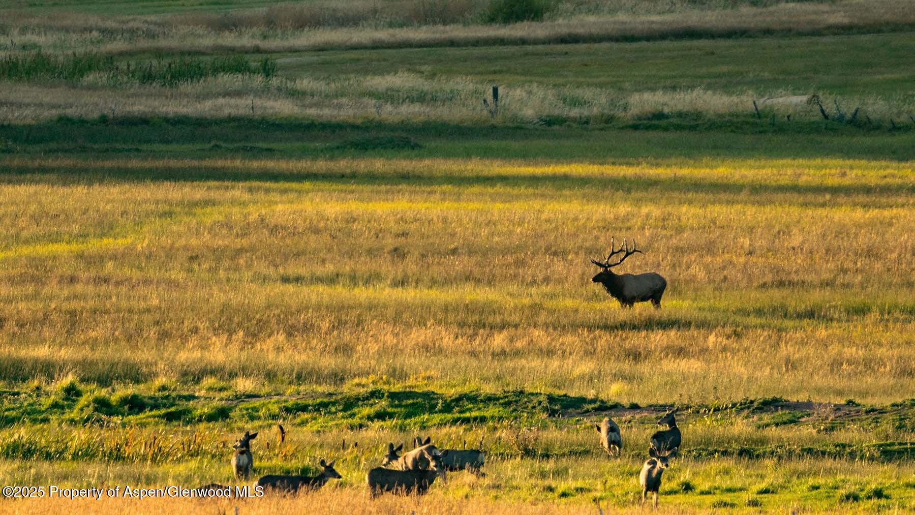 10676 Bostwick Park Road Montrose, CO 81401 - Photo 41 of 42 a view of a lake view