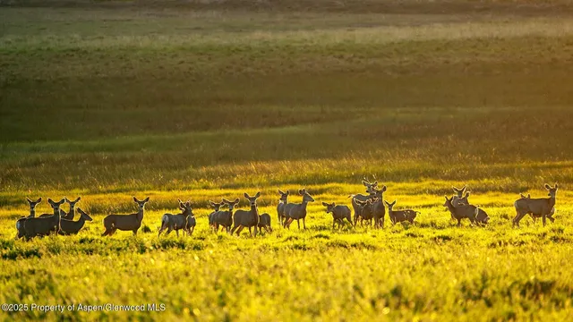 $13,900,000 | 10676 Bostwick Park Road, Montrose, CO 81401