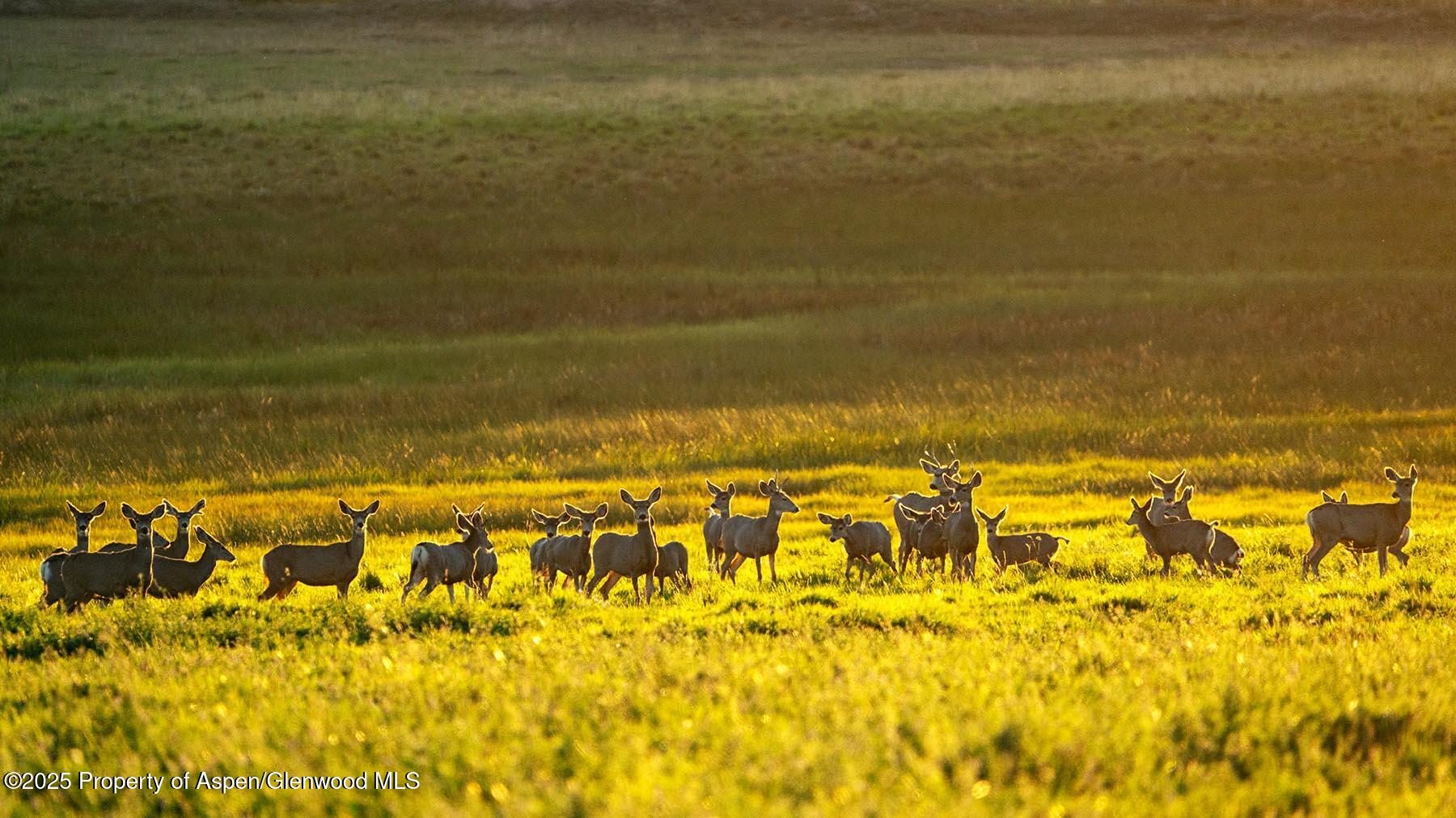 10676 Bostwick Park Road Montrose, CO 81401 - Photo 42 of 42 a view of a ocean view