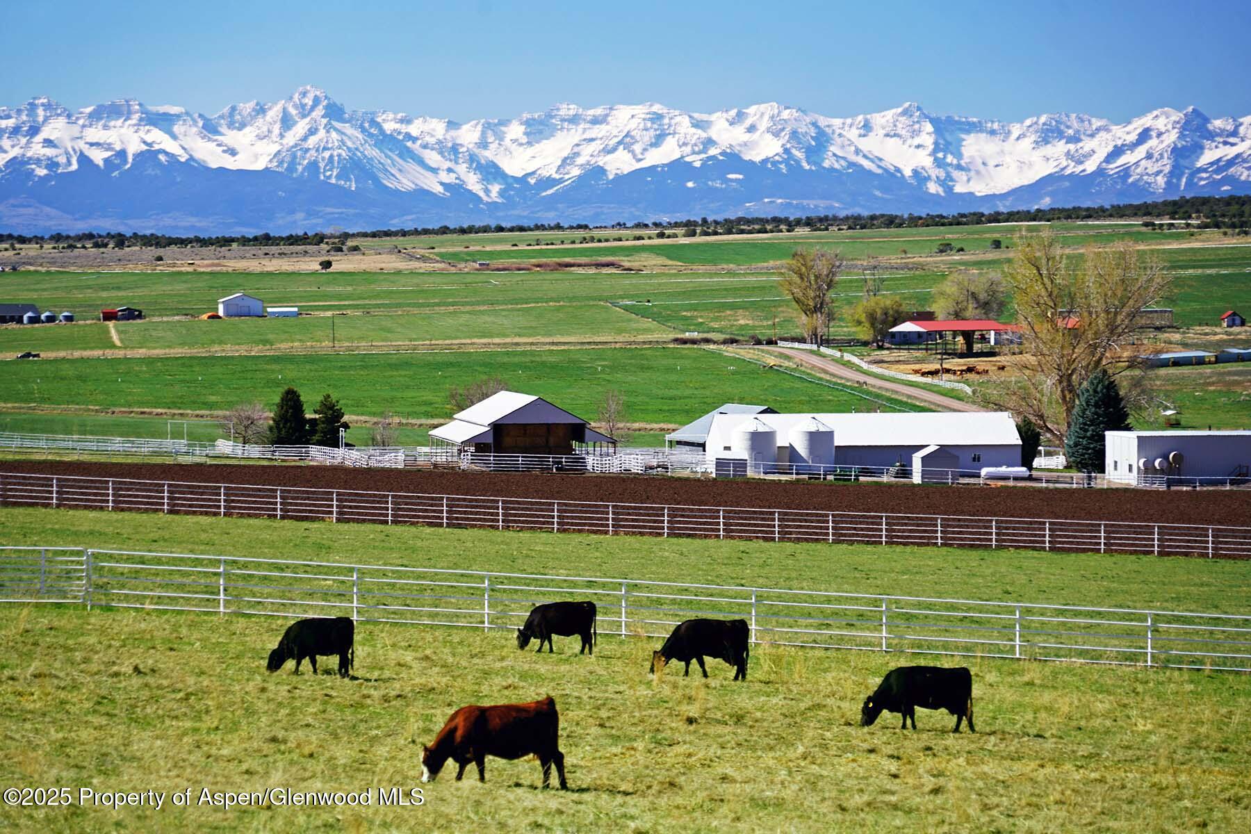 10676 Bostwick Park Road Montrose, CO 81401 - Photo 5 of 42 a view of a golf course with a house