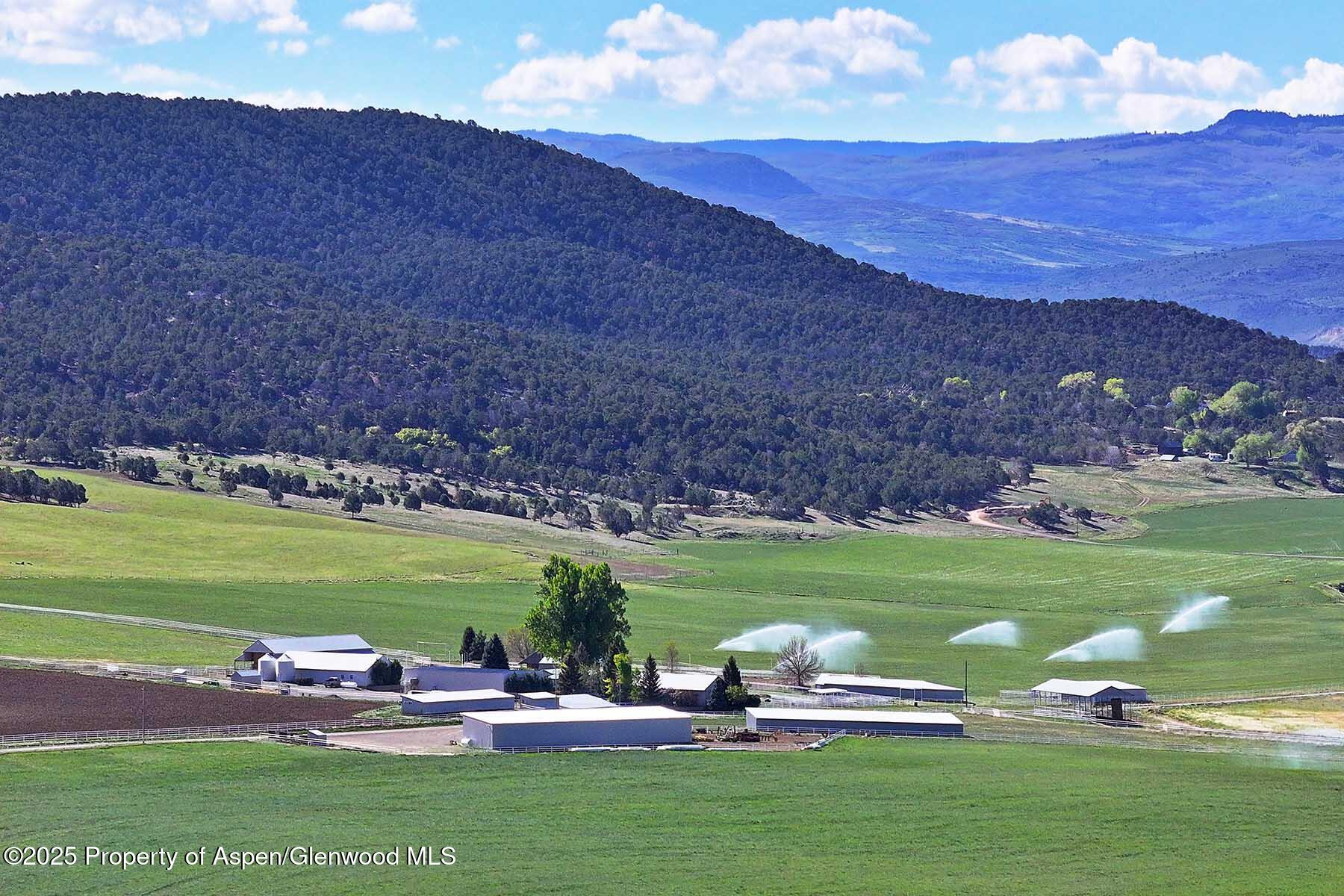10676 Bostwick Park Road Montrose, CO 81401 - Photo 7 of 42 a view of a park with large trees