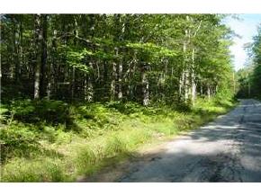 Lot66-9 Powder Mill Road Alton, NH 03809 - Photo 2 of 2