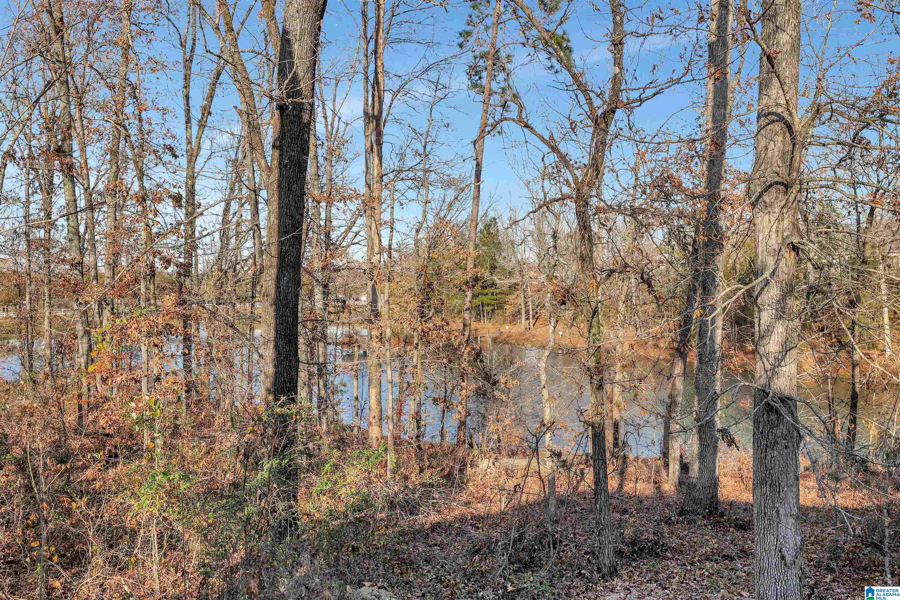 6350 Letson Farms Road Bessemer, AL 35022 - Photo 45 of 46