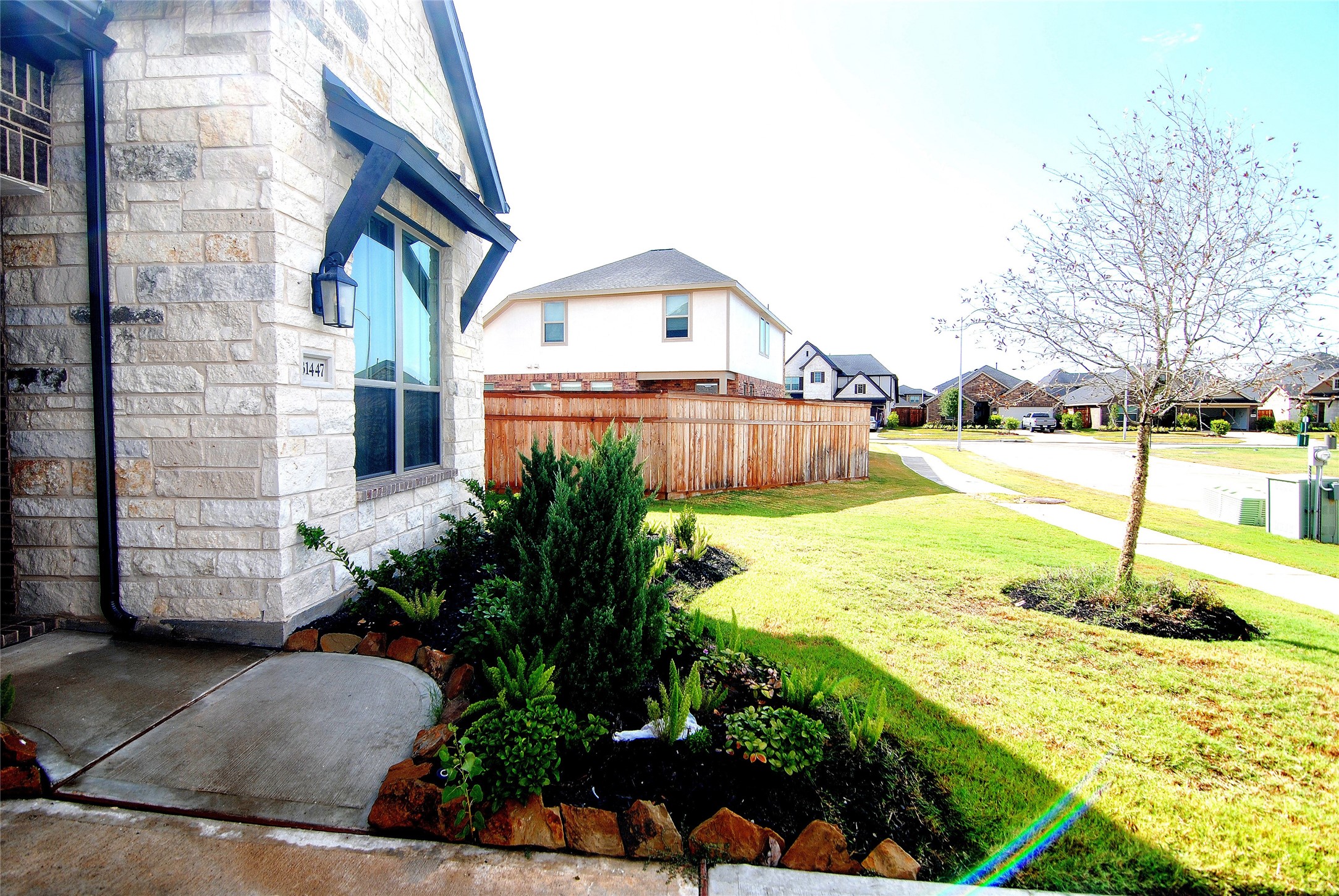 31447 Golden Cliffs Lane Fulshear, TX 77441 - Photo 3 of 45 a view of a backyard with plants