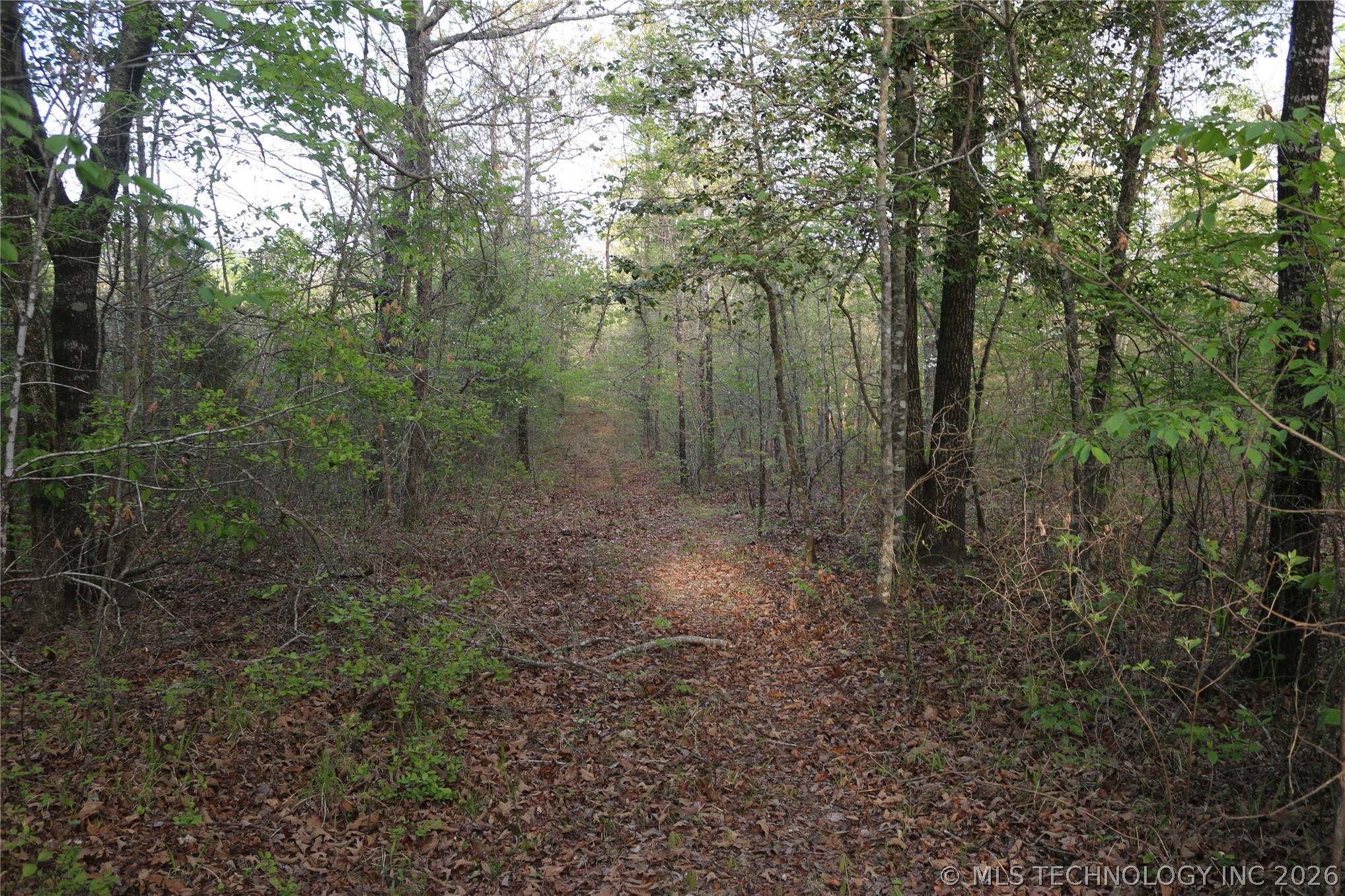 496 Wyr 56746 Road Broken Bow, OK 74728 - Photo 45 of 81 Gallery Image 45
