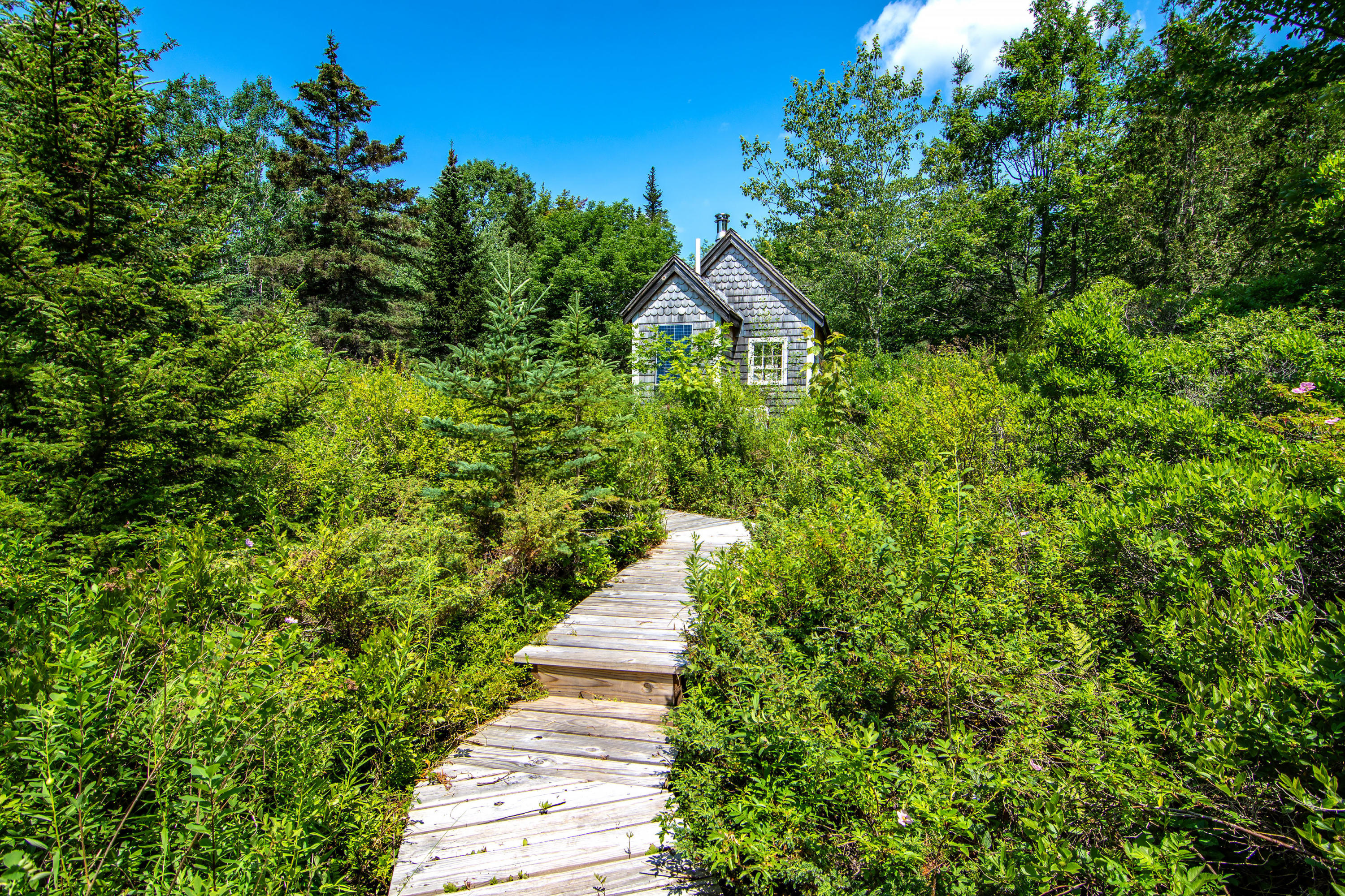 41 Byards Point Road Sargentville, ME 04673 - Photo 33 of 39 41 Byards Point Road Sedgwick-print-036-