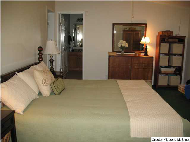 465 Jones Chapel Loop Springville, AL 35146 - Photo 9 of 28