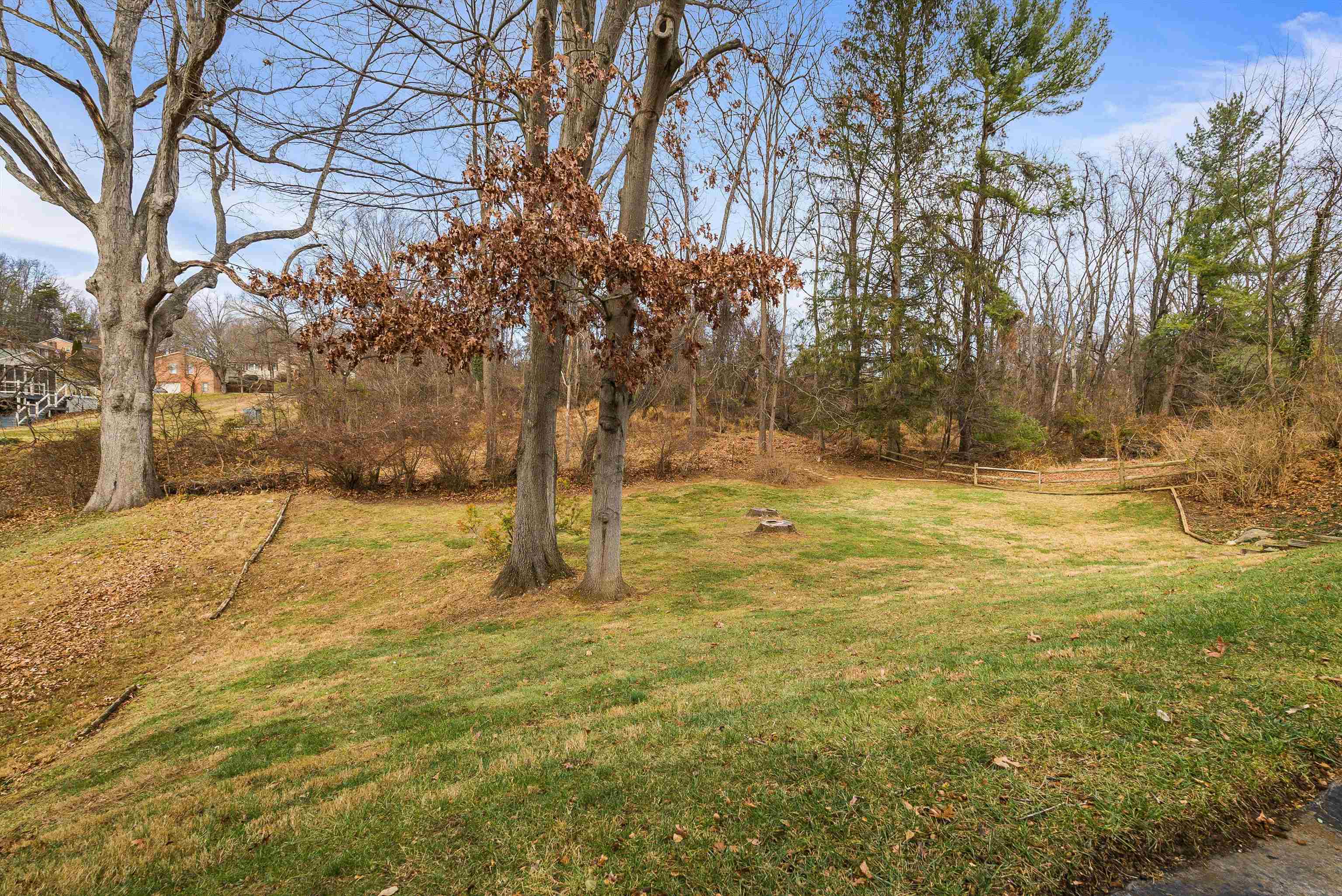 419 Cardinal Street Staunton, VA 24401 - Photo 32 of 47 a view of yard with trees