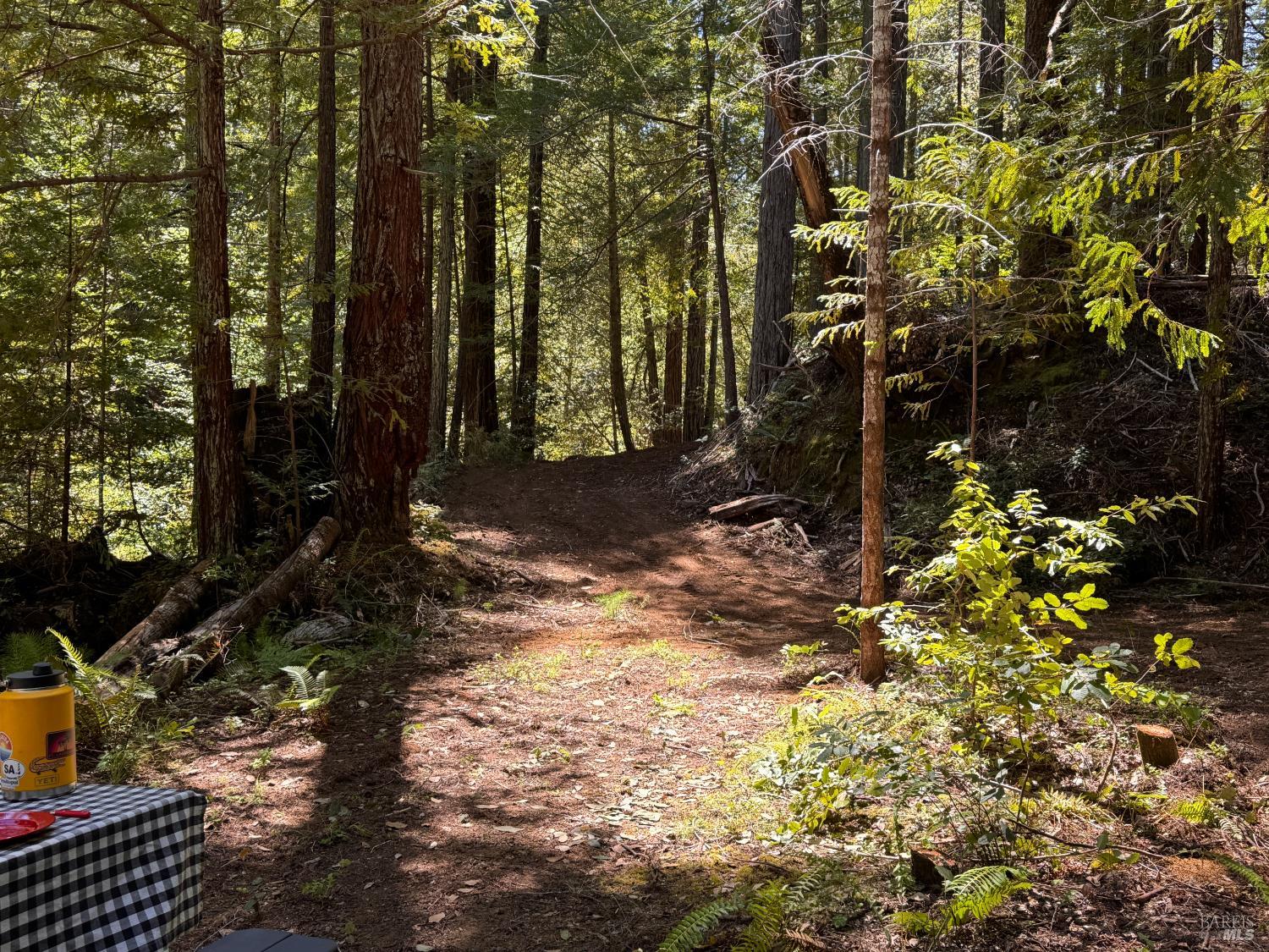 21530 Fort Ross Road Cazadero, CA 95421 - Photo 15 of 56