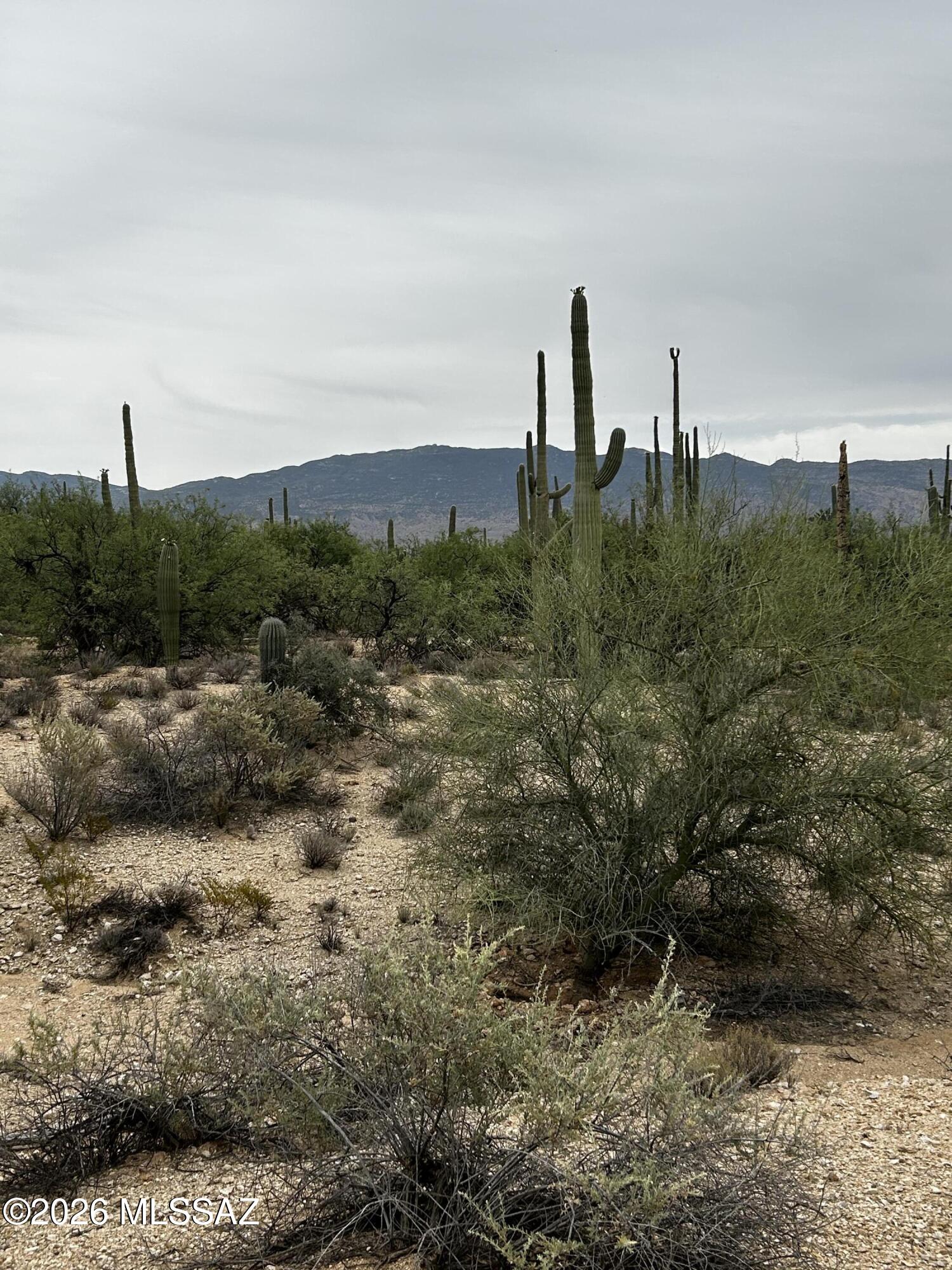 East Roger Road, Unit 46 Tucson, AZ 85749 - Photo 20 of 38