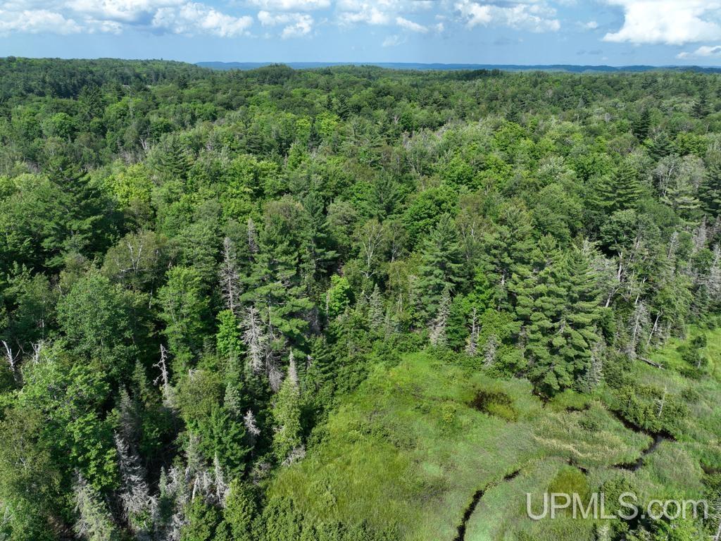 0 Gold Mine Lake Road Ishpeming, MI 49849 - Photo 7 of 19