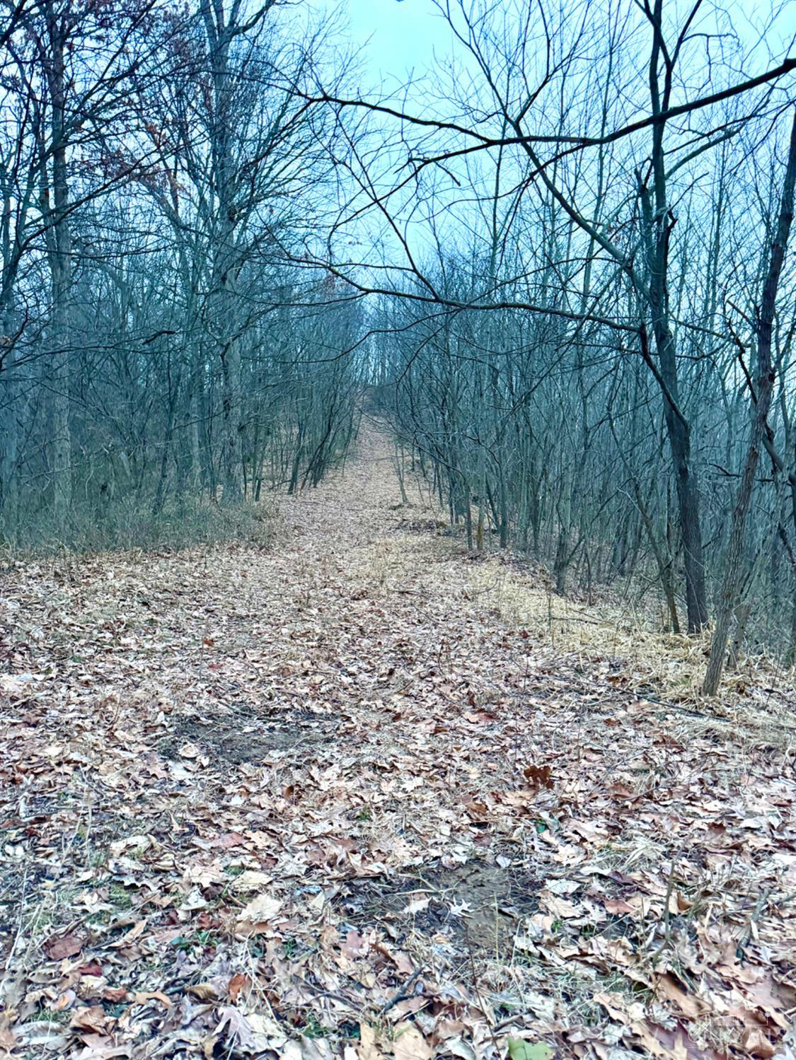 0 Straight Creek Road Waverly, OH 45690 - Photo 5 of 71