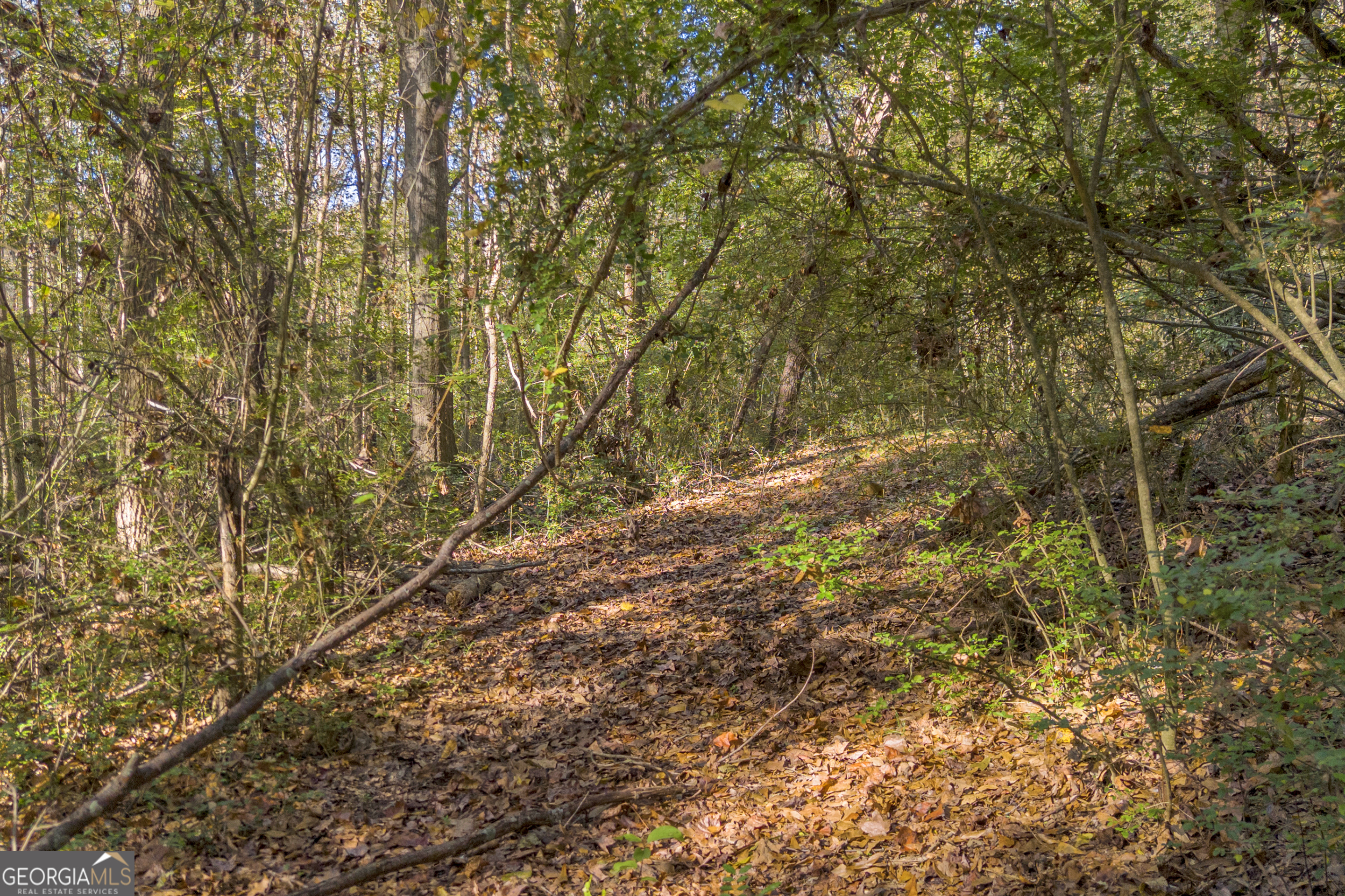 0 Rice Creek Road Canon, GA 30520 - Photo 12 of 37
