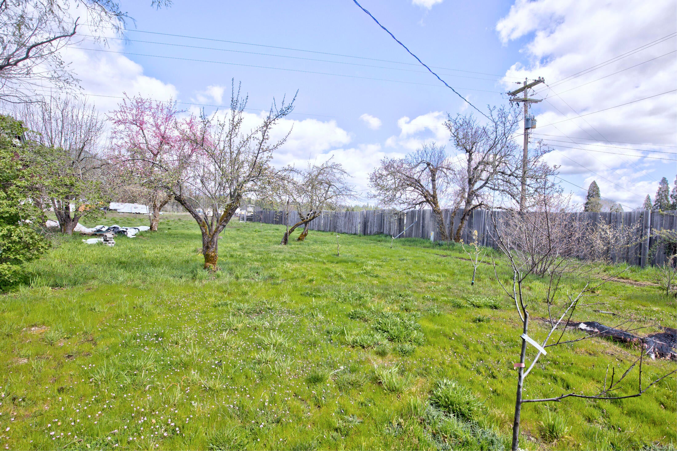 180 Norman Road Selma, OR 97538 - Photo 29 of 46 norman034