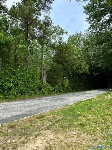 a view of a yard with a plant