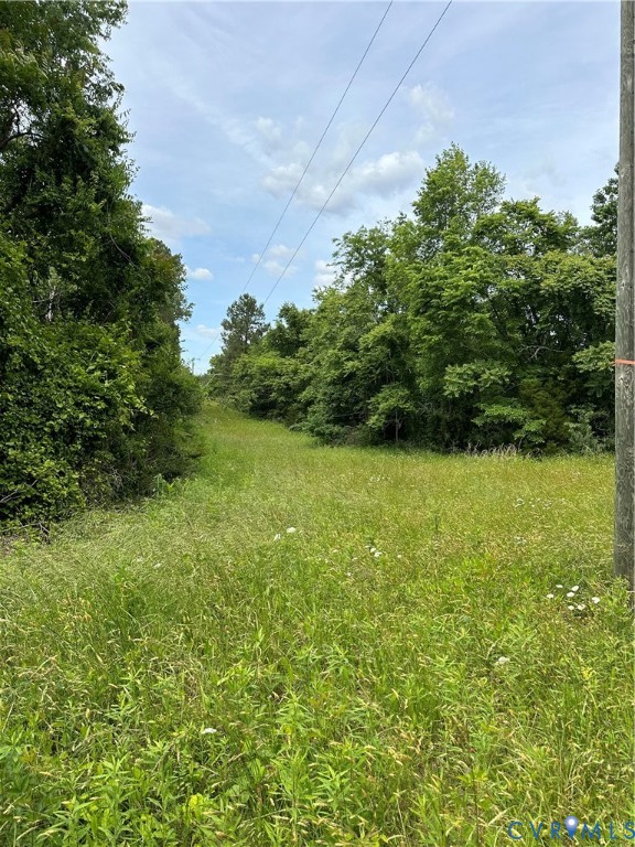 0 Jonesboro Church Road Blackstone, VA 23824 - Photo 3 of 13 a view of a garden