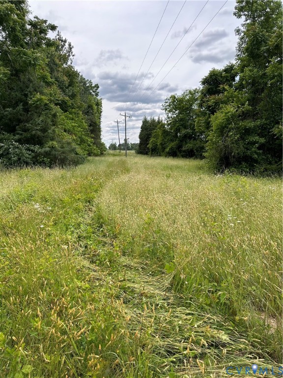 0 Jonesboro Church Road Blackstone, VA 23824 - Photo 4 of 13 a view of a yard with an outdoor space