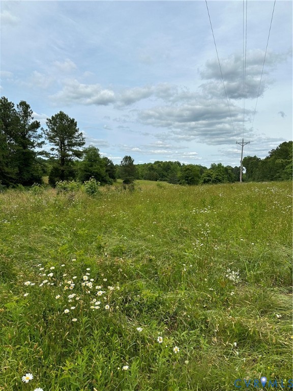 0 Jonesboro Church Road Blackstone, VA 23824 - Photo 6 of 13 a view of a lake with houses in back