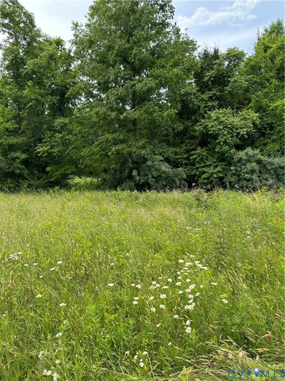 0 Jonesboro Church Road Blackstone, VA 23824 - Photo 7 of 13