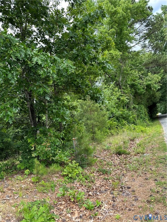 0 Jonesboro Church Road Blackstone, VA 23824 - Photo 10 of 13 a view of a lush green forest