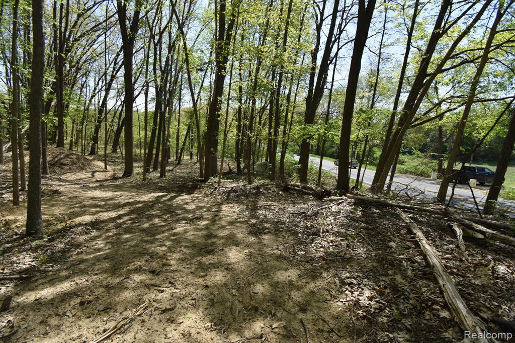 10146 Island Lake Road Dexter, MI 48130 - Photo 4 of 4