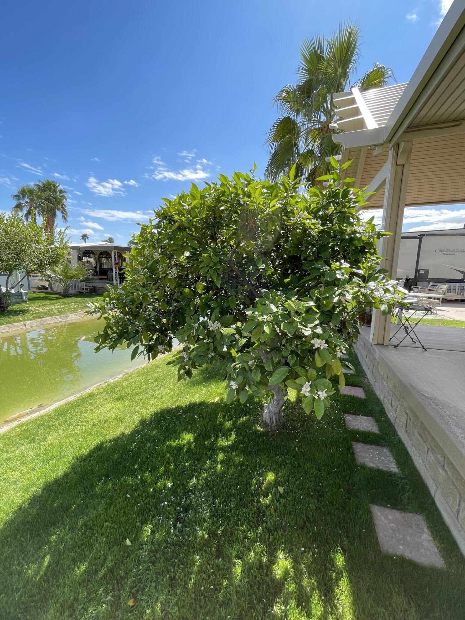 81620 Ave 49, Unit 235B Indio, CA 92201 - Photo 17 of 21 a view of a house with a yard